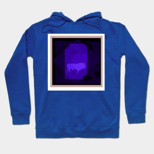 Cave Magic Hoodie